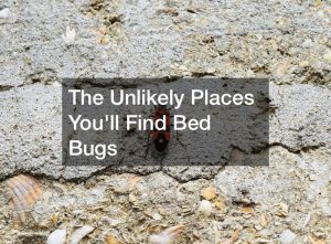 are bed bugs bad this year